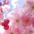Stagioneterapia (Maggio): Benessere in Primavera