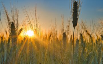 Solstizio d’Estate: Celebrare il Sole