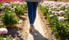 Meditazione Camminata per la Primavera