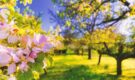 🌿🌸 Ritrovare la Connessione con la Natura in Primavera