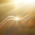 Connettersi con il Sole