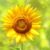 Louise Hay: Le Affermazioni Positive di Luglio 2025