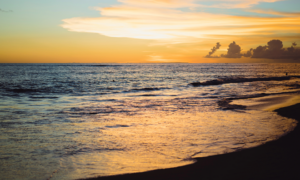 Louise Hay: Le Affermazioni Positive di Agosto 2025