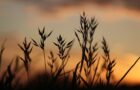 Louise Hay: Le Affermazioni Positive di Settembre 2025