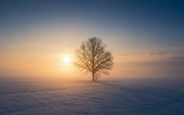 Ripartire con Fiducia e Cosapevolezza Ripartire con Fiducia e Cosapevolezza