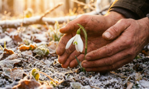 Luna Nuova in Capricorno Gennaio 2026 Luna Nuova in Capricorno Gennaio 2026