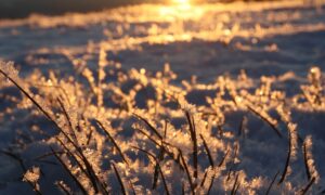 Louise Hay: Le Affermazioni Positive di Gennaio 2026 Louise Hay: Le Affermazioni Positive di Gennaio 2026