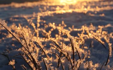 Louise Hay: Le Affermazioni Positive di Gennaio 2026 Louise Hay: Le Affermazioni Positive di Gennaio 2026