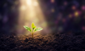 Luna Nuova in Ariete Aprile 2026 Luna Nuova in Ariete Aprile 2026