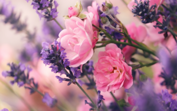 Stagioneterapia (Maggio): Benessere in Primavera